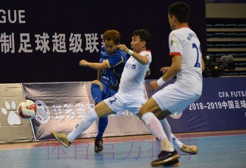 2018-2019赛季五超联赛大幕落下 深圳南岭铁狼队卫冕联赛冠军