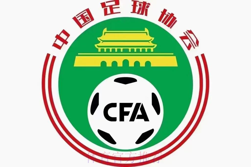 中国足球大省辽宁完成足协改制